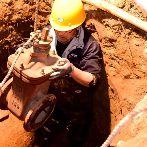 1656299021068007127.jpg 8-210Z212360S26.jpg