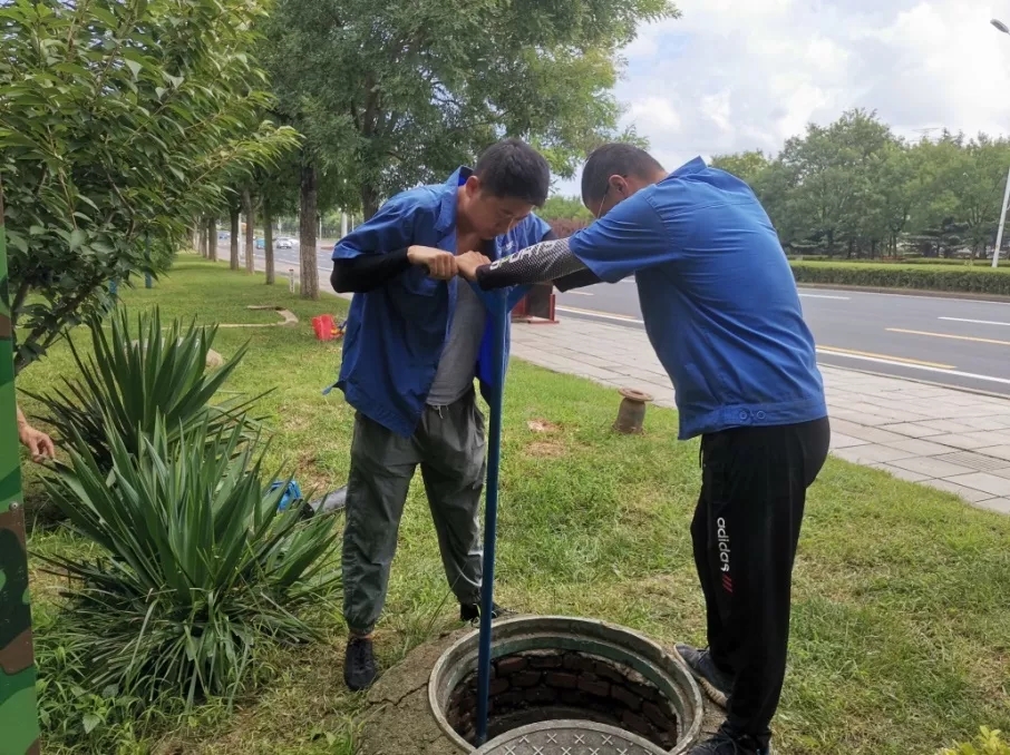 1656308252303017806.jpg 8-210S11FPR43.jpg